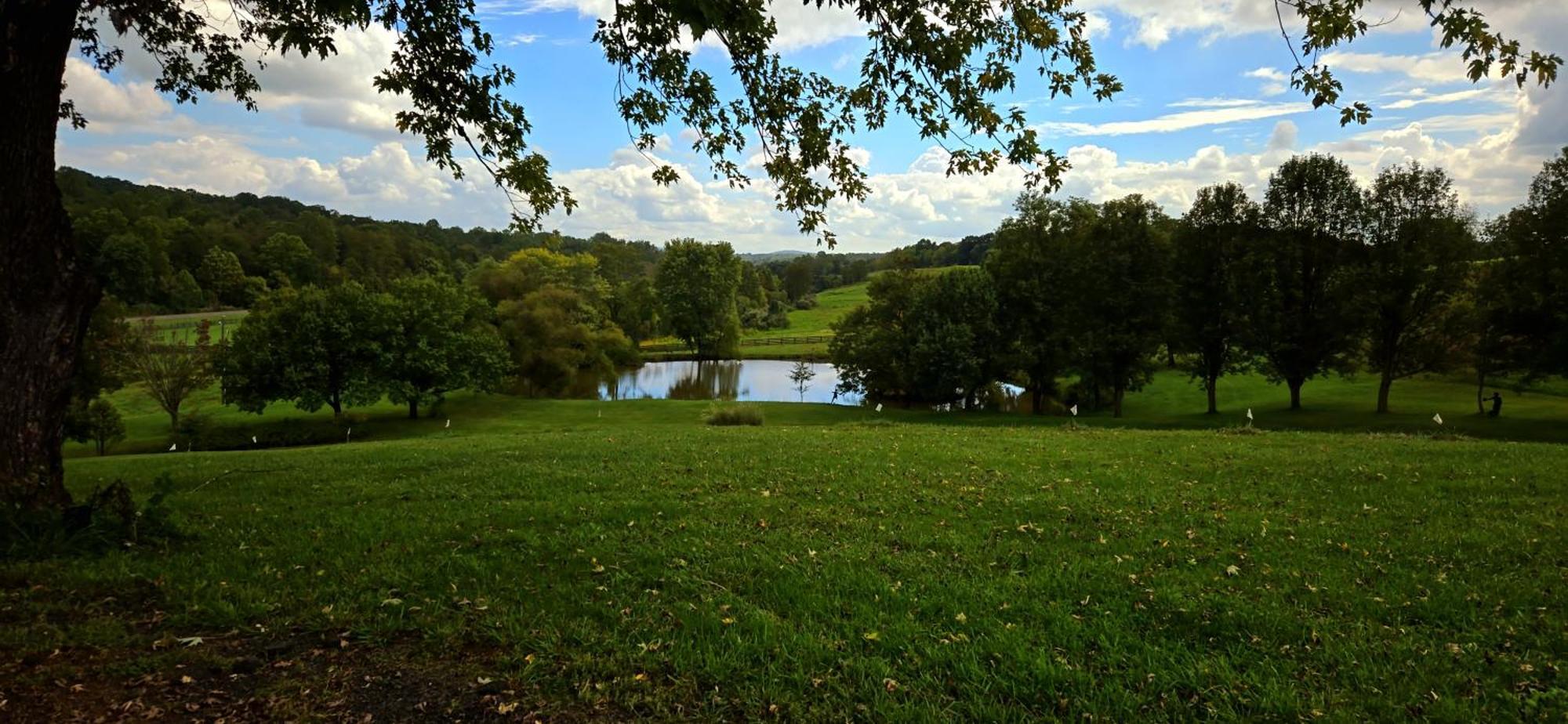 West Park Gardens Hotel Culpeper Værelse billede